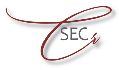 Cravical website maintenance security guard and automated platform monitoring
